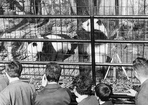 絶版車 MTGarage Kawasaki Z1 1972 出来事1